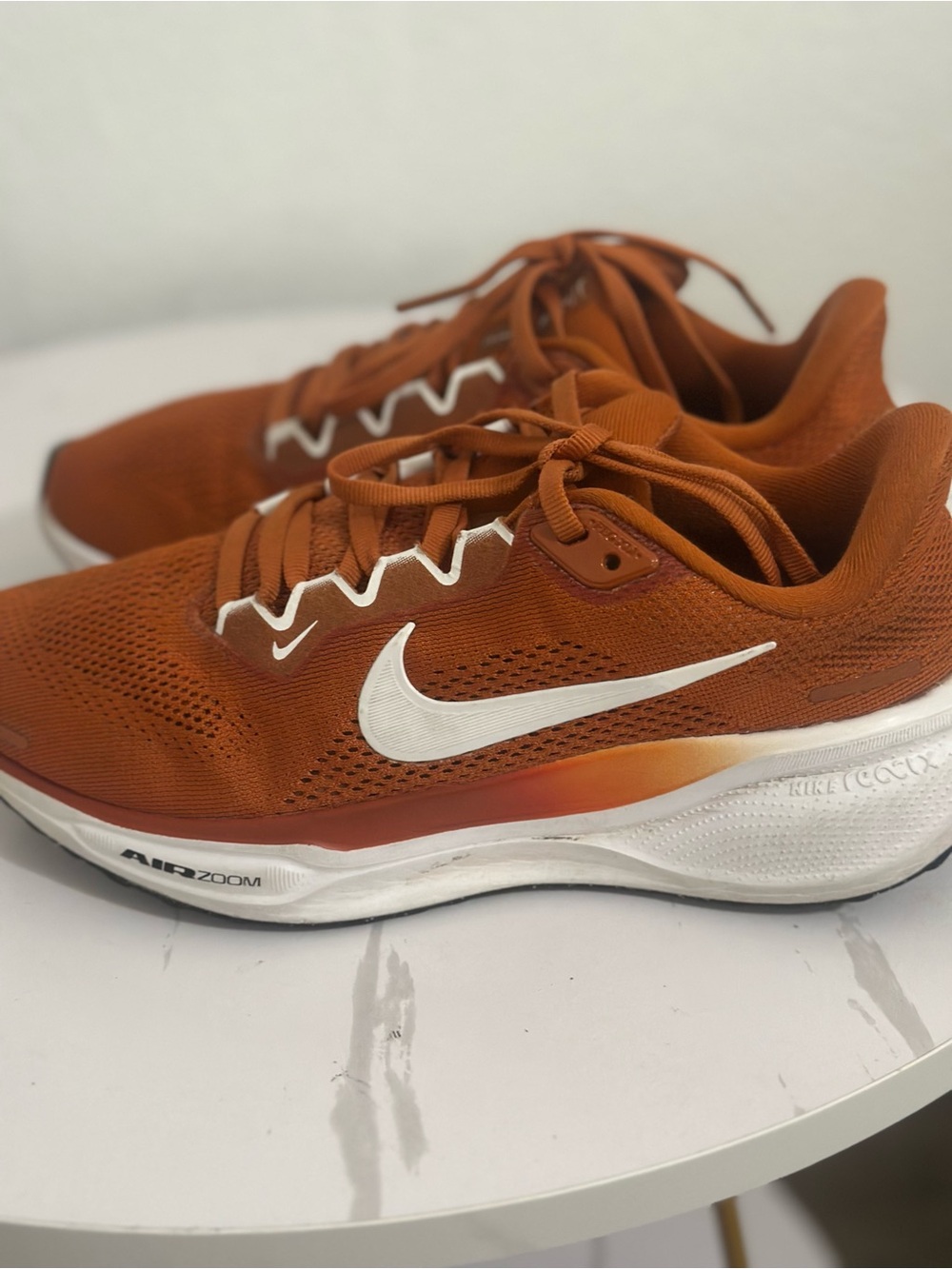 Nike Women’s Pegasus Running Shoes - Rust Orange/White